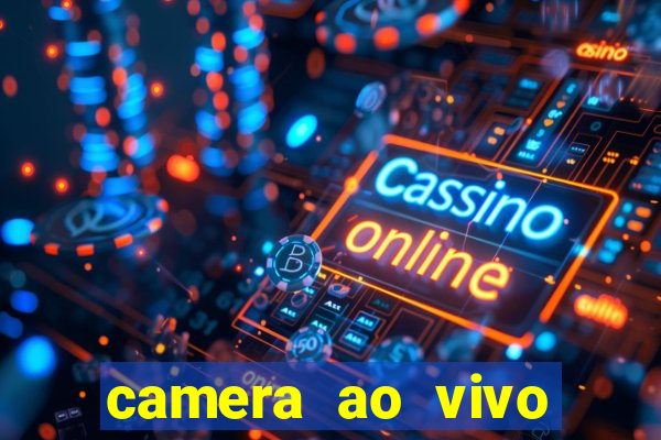 camera ao vivo beto carrero